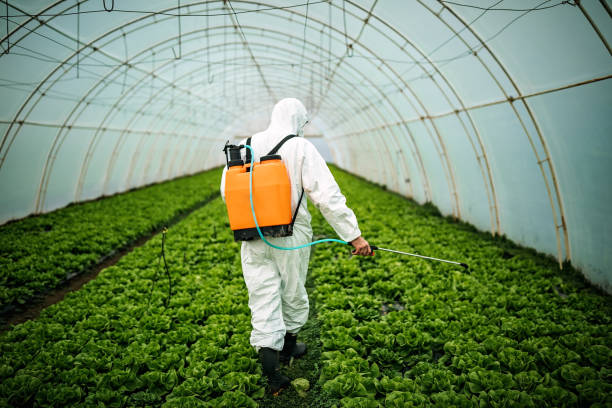 Best Local Pest Control Services  in Fletcher, NC