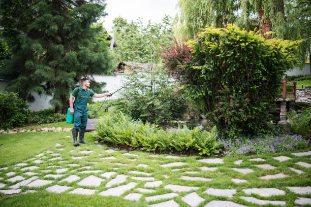 Best Pest Control for Businesses  in Fletcher, NC