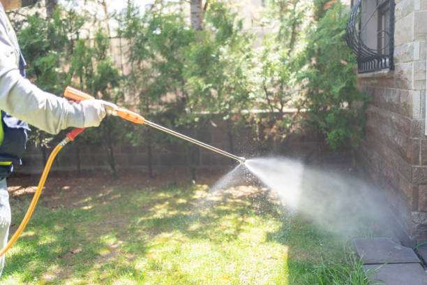 Flea Control Services in Fletcher, NC