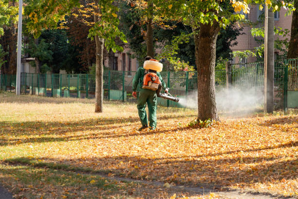 Wildlife Control Services in Fletcher, NC