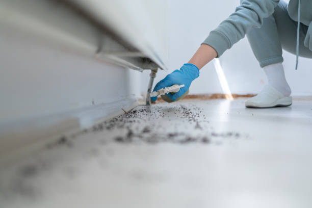 Best Emergency Pest Control  in Fletcher, NC